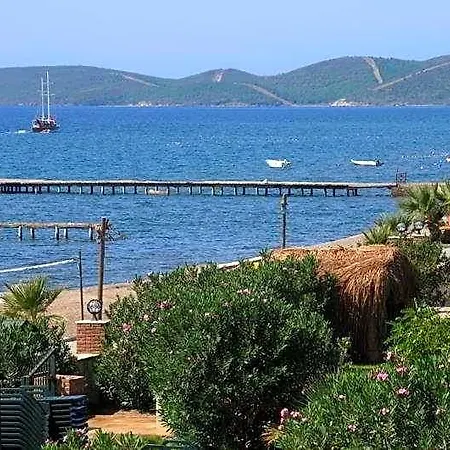 Angora 4* Seferihisar